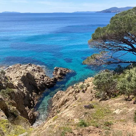 Le Petit Vue アパート