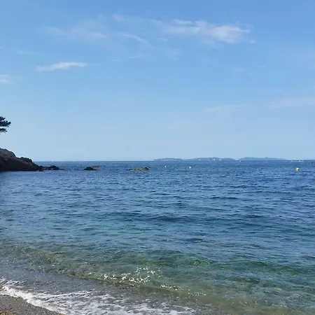 Le Petit Vue アパート