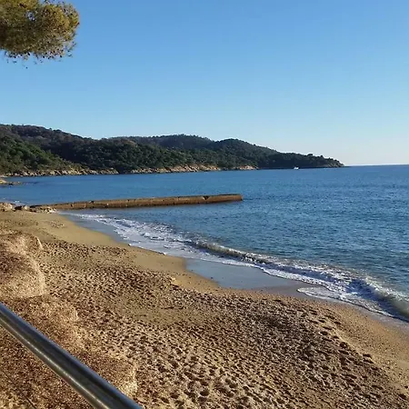 Le Petit Vue アパート *